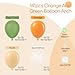 awenztech 141pcs Little Cutie Orange and White Balloon Arch Garland Kit with Sage Green Orange Nude Sand White Balloons for Birthday Party Little Cutie Baby Shower Decorations - Image 4
