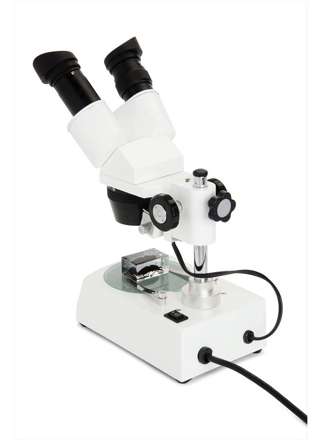 Celestron Labs Stereo Microscope – 10-60x Magnification – Upper and Lower LED Illumination – Includes 2 Viewing Plates and 4 Specimen Blocks  - Image 3