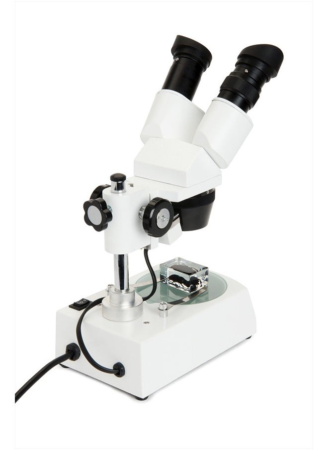 Celestron Labs Stereo Microscope – 10-60x Magnification – Upper and Lower LED Illumination – Includes 2 Viewing Plates and 4 Specimen Blocks  - Image 4