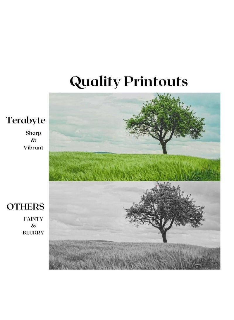 TERABYTE TONER CARTRIDGE TN3437 BLACK - Image 4