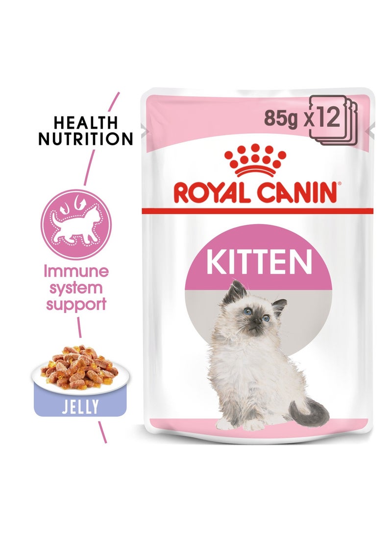 Royal canin Feline Health Nutrition Kitten Jelly (WET FOOD - Pouches) cats food