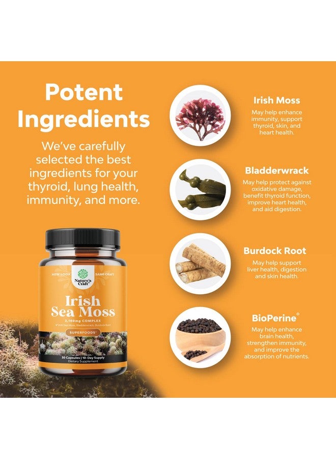 Natures Craft Organic Irish Sea Moss Capsules Sea Moss And Bladderwrack Capsules With Burdock Root Superfood Blend For Immune Support Heart Health Fertility Joint Health And Thyroid Support For Women And Men - Image 5
