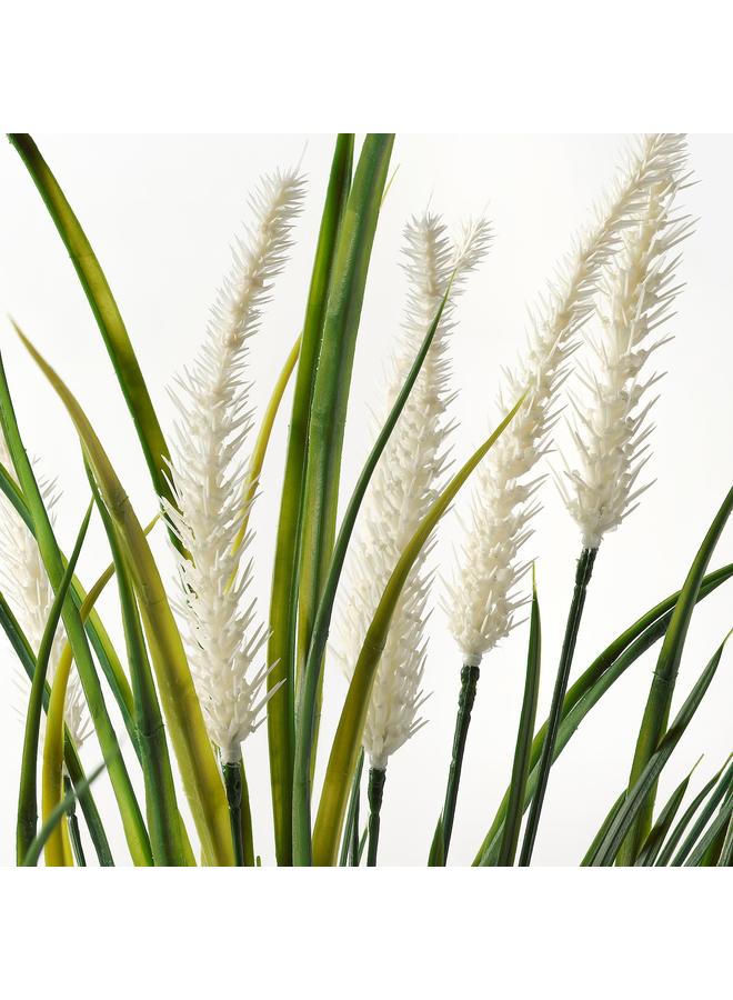 Zaboon Artificial potted plant, in/outdoor decoration/grass, 9 cm - Image 4