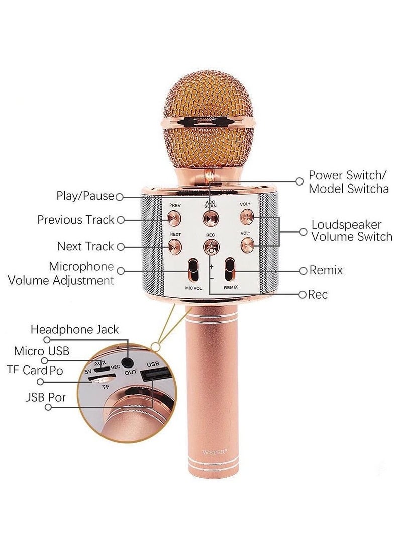 BSNL - 858L Portable Handheld Wireless Karaoke Microphone Bluetooth Speaker With Disco Lights Silver - Image 1