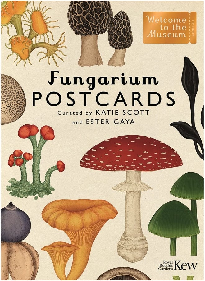 Fungarium Postcards - pzsku/ZE6EE07DBDCE16FABBF47Z/45/_/1726051500/8d9a1f5f-cc54-408f-8aac-e3c56254f055