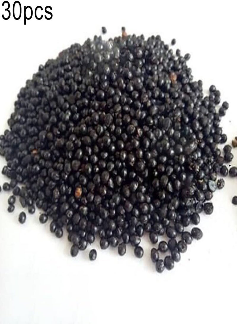 GGOOT 30Pcs DIY Pepper Seeds Gardening Kit Spice Plants Cash Crop Garden Field Farm Growing Plant Seedlings Pepper Seeds 1 - Image 2