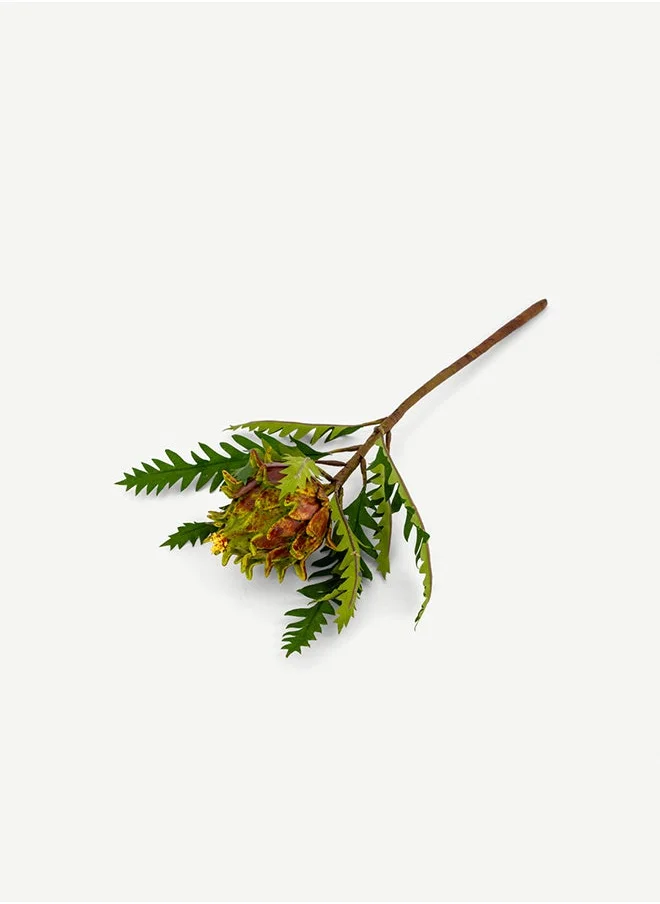 أوه سي هوم Single Thistle Green