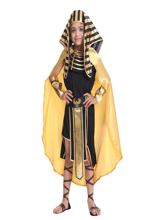 DSplay Boy Egyptian Pharaoh Costume Role Play Kid Halloween 13-14 years old - Image 2