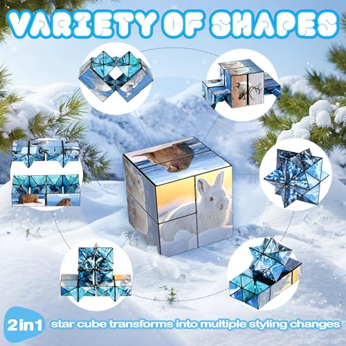 Euclidean Cube 2 in 1 Magic Cube Set Fidget Toy for Kids Adults Yoshimoto Cube for Ages 812 ArcticAntarctic Animals Puzzle Cube Fun Toy for Boys Girls Polar Series - Image 5