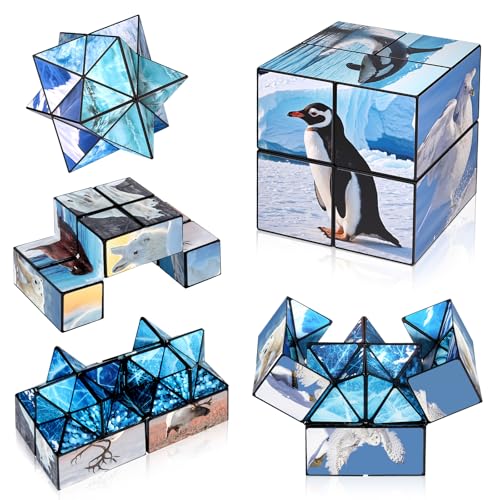 Euclidean Cube 2 in 1 Magic Cube Set Fidget Toy for Kids Adults Yoshimoto Cube for Ages 812 ArcticAntarctic Animals Puzzle Cube Fun Toy for Boys Girls Polar Series - Image 1
