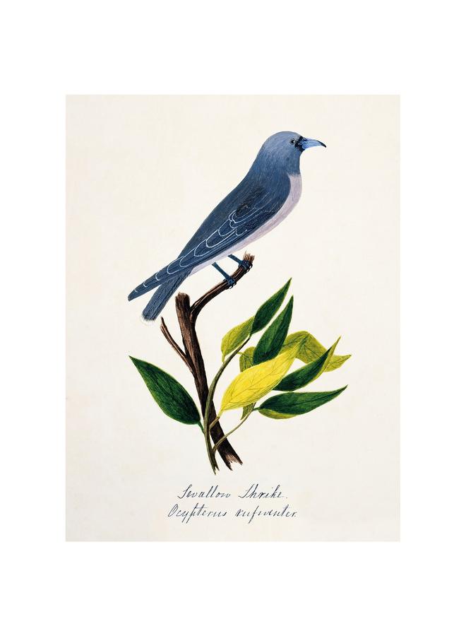 Zaboon Picture, Bird Blue, 30X40 Cm - Image 1