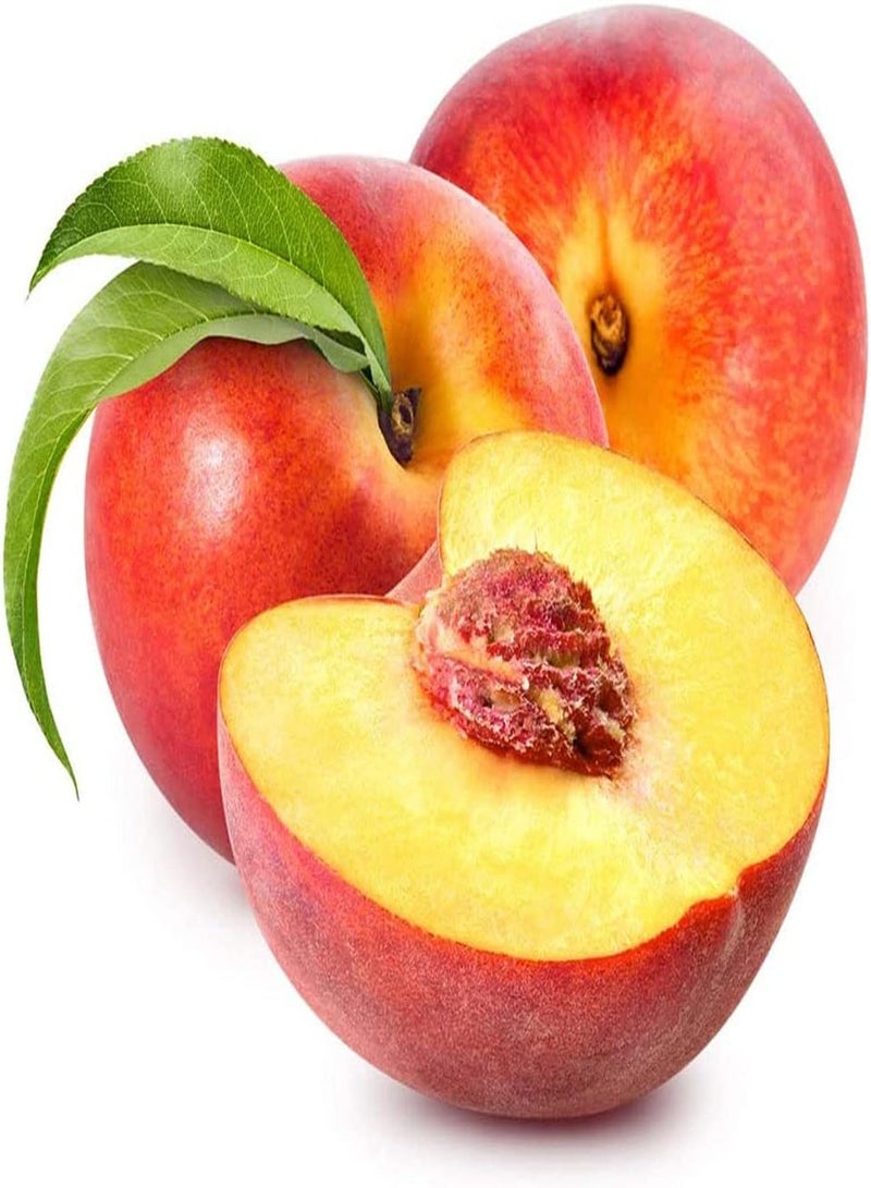 GGOOT 5pcs Peach seeds Blooming Ornamental Value Harvesting Healthy Fruit Perennial Gardening Planting DIY Garden Art Decor Low Maintenance - Image 1