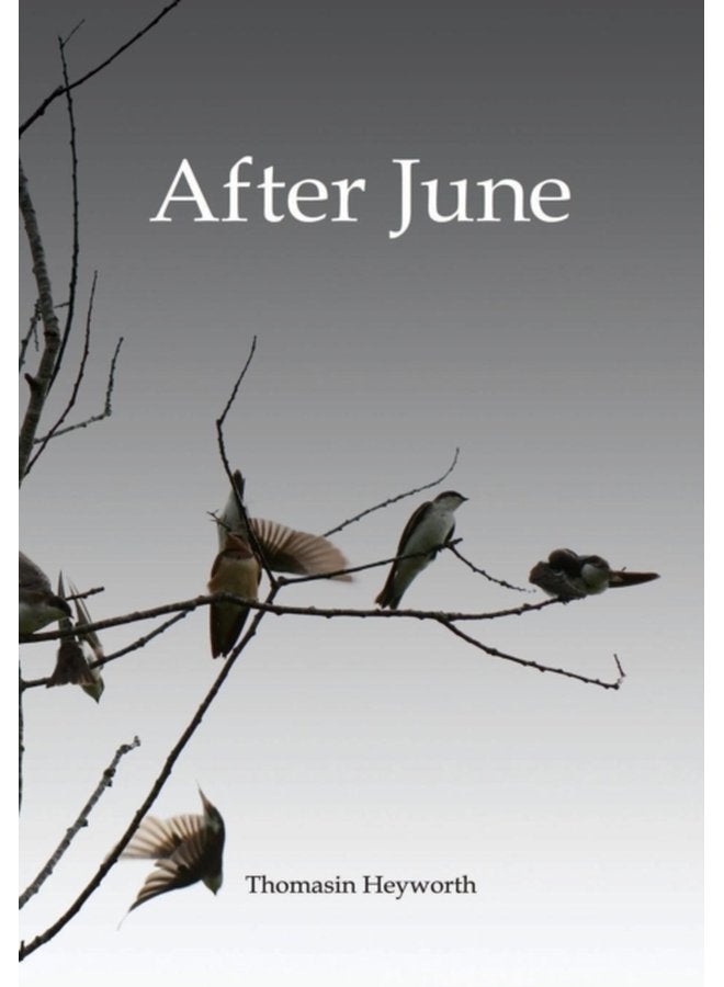 After June - Hardback