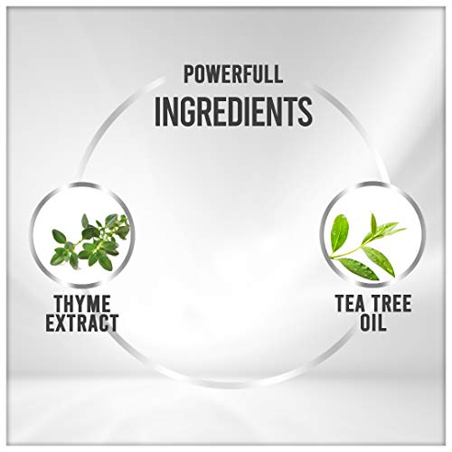 Vedic Line Conditioner, 200ml - Thyme & Tea Tree Oil - Anti-Dandruff & Hair Repair - Unisex - Adult - Image 3