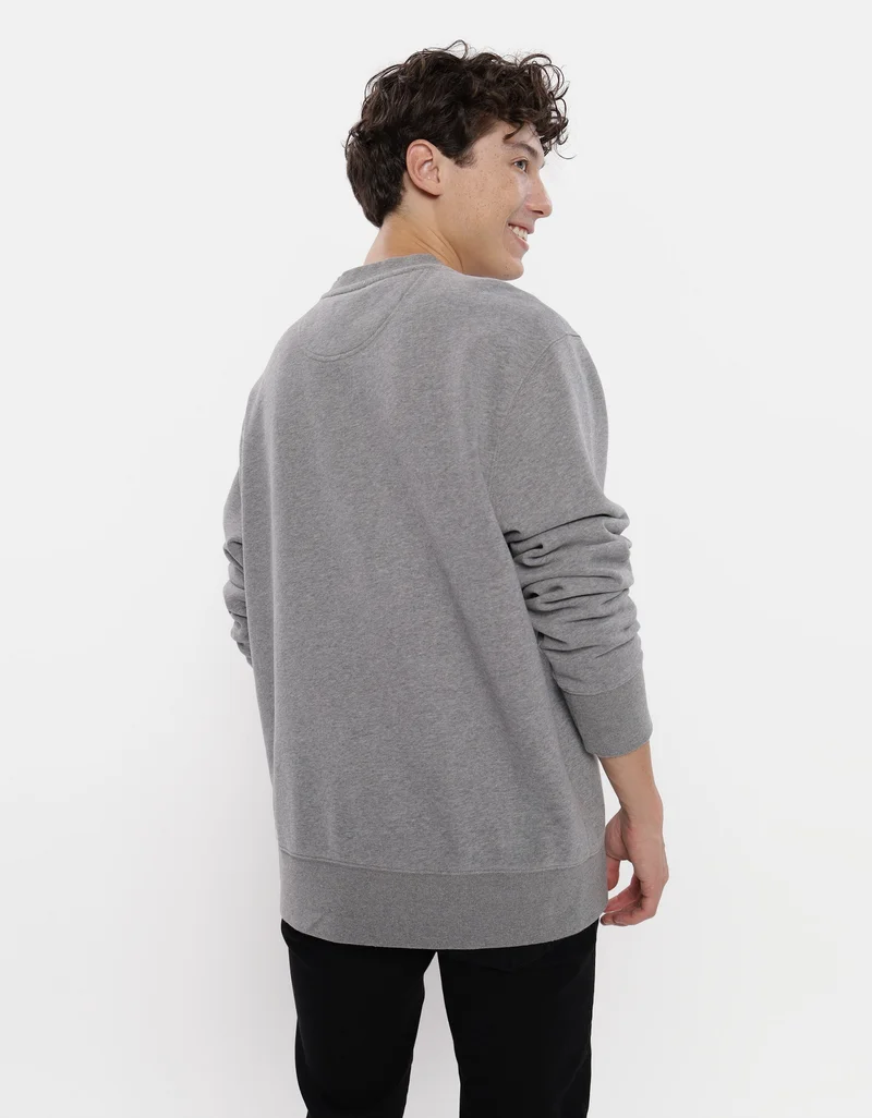American Eagle AE Crew Neck Sweatshirt