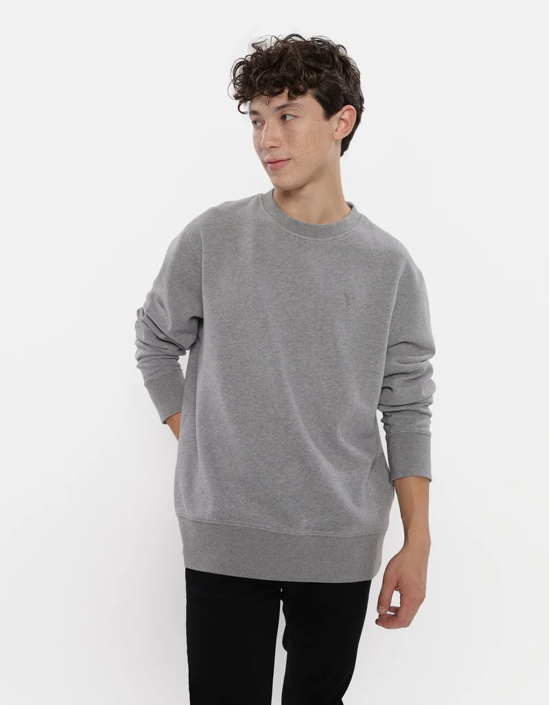 American Eagle AE Crew Neck Sweatshirt
