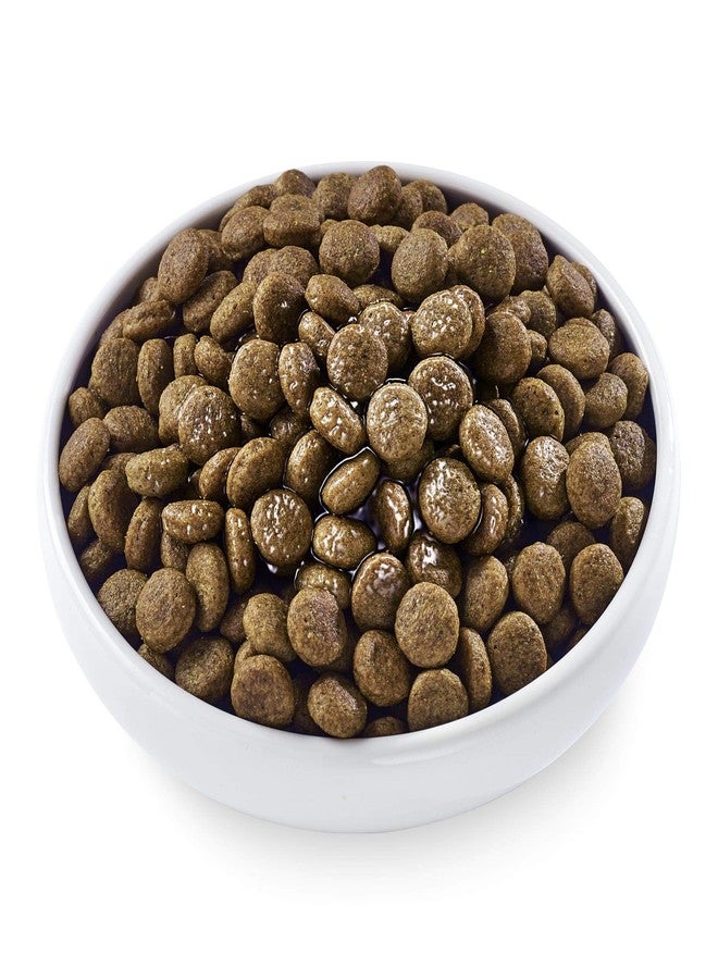 آبلاوس طعام الكلاب الرطب بنكهة مرق عظام الدجاج من أبلاوز تيست توبرز، 7.1 أونصة. - Image 4