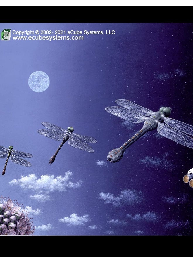 NXTera 7 Server Developer's Guide - Image 2