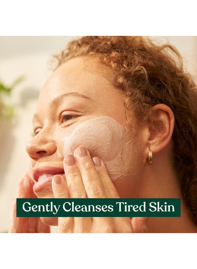 THE BODY SHOP Edelweiss Cleansing Concentrate – Daily Face Cleanser for All Skin Types | Purifies, Renews & Awakens Skin | Enriched with Antioxidant Edelweiss, 100 ml - Image 2