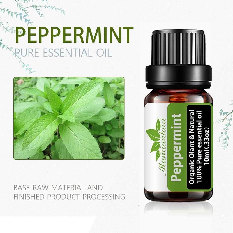 woobles Aromatherapy Essential Pure Peppermint Oil, Humidifier is Available for Use, Plant Single Peppermint Essential Oil, to Drive The Mosquito Away, Refreshing Your Mind (Green) - Image 1