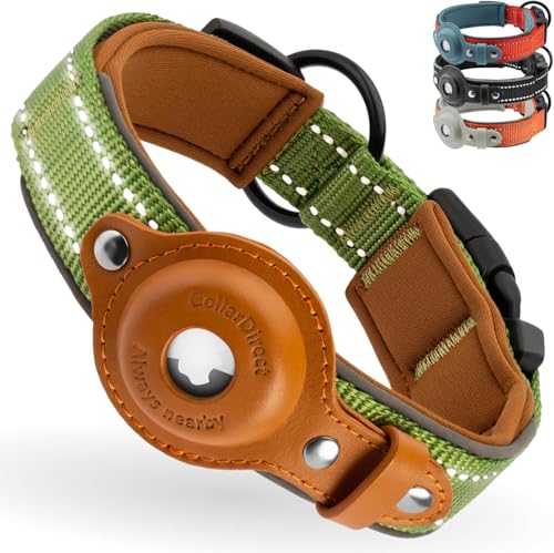 CollarDirect Airtag Dog Collar Reflective Nylon Neoprene Leather Holder for Apple Air Tag for Large, Medium, and Small Dogs (Green, S, 12-14.5 Inch) - Image 1