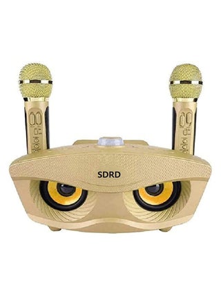 SDRD Wireless Bluetooth Speaker with 2 Microphones Portable Karaoke Machine pop rock classical base (Gold) - pzsku/ZE6FA20F0D2685EC540A6Z/45/_/1703014431/d4ab88f6-a01d-465a-b8a8-f43af7075e16
