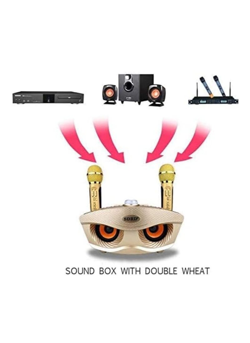 SDRD SDRD Wireless Bluetooth Speaker with 2 Microphones Portable Karaoke Machine pop rock classical base (Gold)  - Image 4