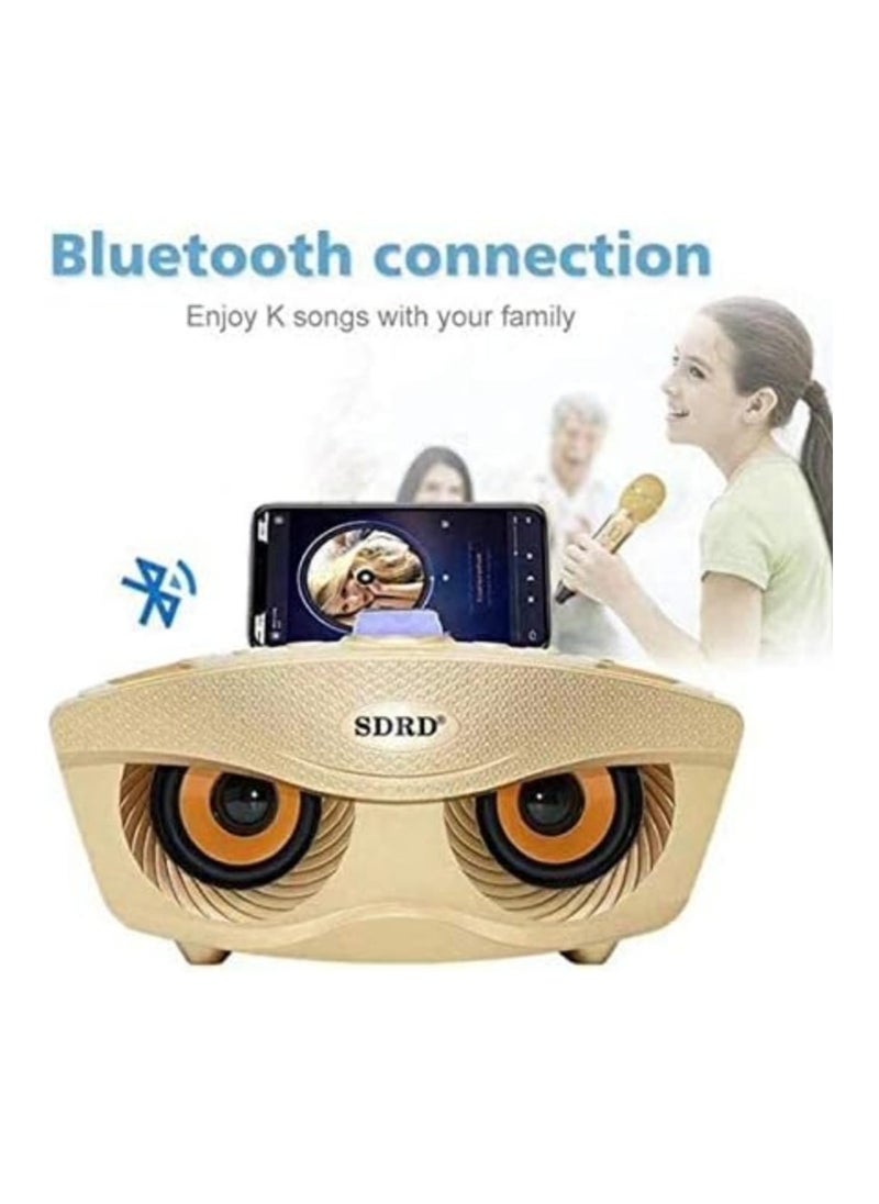 SDRD SDRD Wireless Bluetooth Speaker with 2 Microphones Portable Karaoke Machine pop rock classical base (Gold)  - Image 5