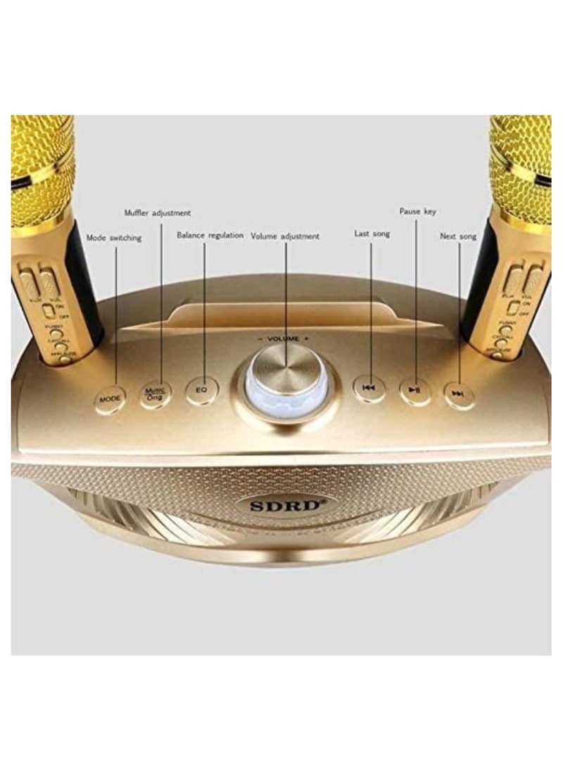 SDRD Wireless Bluetooth Speaker with 2 Microphones Portable Karaoke Machine pop rock classical base (Gold)