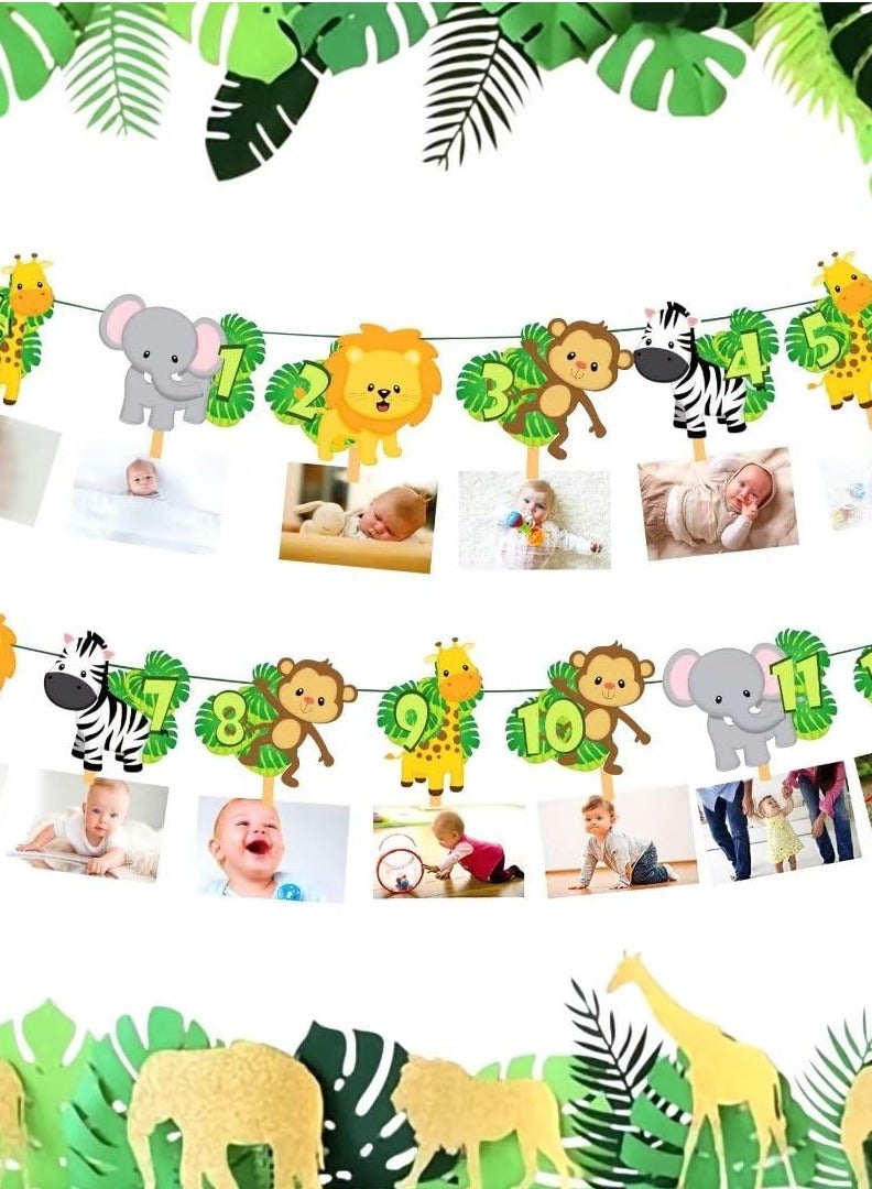 KASTWAVE Jungle Gold Monthly Photo Banner Wild Monthly Photo Banner Safaris First Birthday Banner Monthly Photo Banner Jungle Zoo Banner Jungle Theme Party Decorations - Image 1