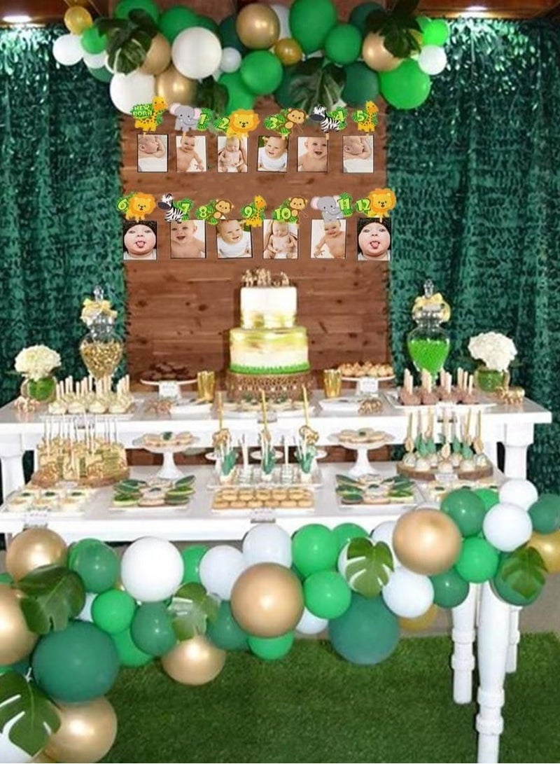 KASTWAVE Jungle Gold Monthly Photo Banner Wild Monthly Photo Banner Safaris First Birthday Banner Monthly Photo Banner Jungle Zoo Banner Jungle Theme Party Decorations - Image 5