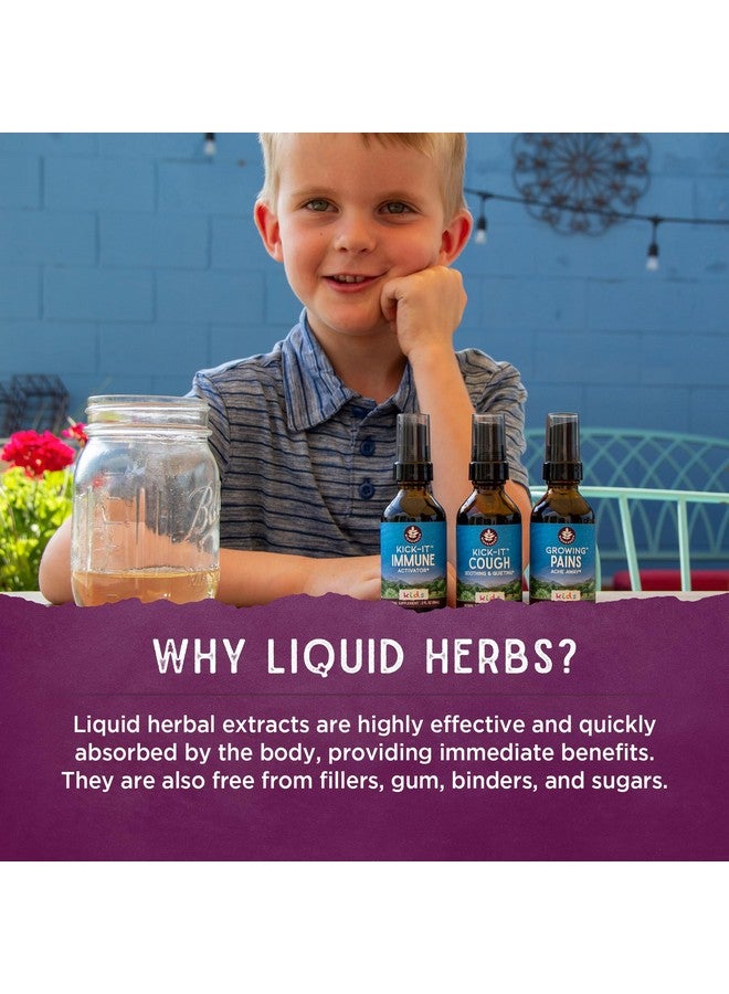 WishGarden Herbs Organic Elderberry Syrup for Kids - Childrens Elderberry Syrup with Black Elderberry, Astragalus, Orange Peel & Honey, Daily Immune Booster for Kids, Children 1+, No Sugar Added, 4oz - Image 5