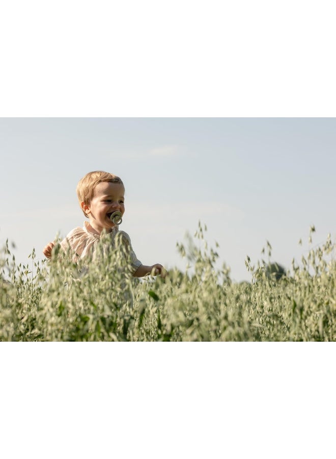 BIBS لهاية بيبس كولور للأطفال 2-pack | مصنوعة في الدنمارك | مصاصة خالية من BPA، مطاط طبيعي دائري، الحجم 3 (18+ شهر)، فانيلا/بلوط داكن - Image 5