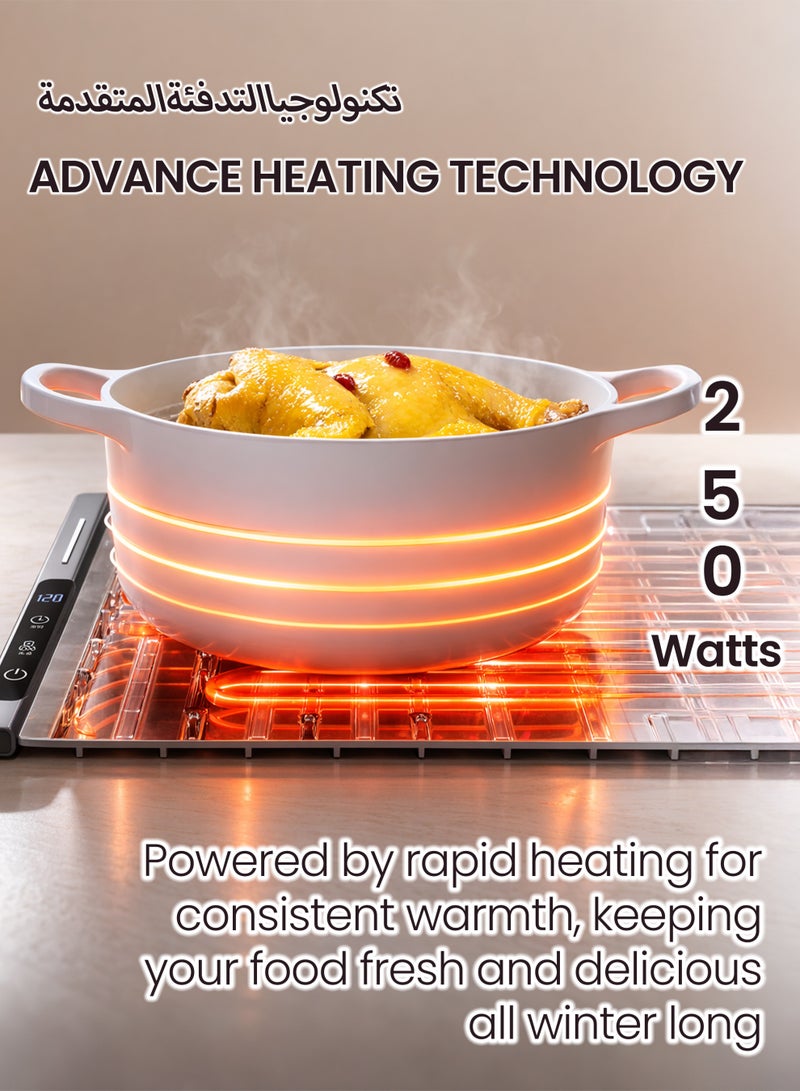 توشيونيكس صينية تسخين كهربائية - حصيرة تسخين طعام سيليكون قابلة للطي مع درجة حرارة قابلة للتعديل ومؤقت (65 × 40 سم، 250 واط) - وسادة تسخين طعام كبيرة للبوفيه لطاولة الطعام وسطح المطبخ، رمادي - Image 4