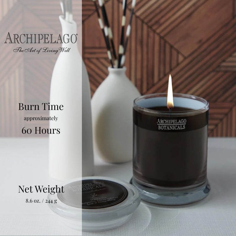 Archipelago Botanicals شمعة زجاجية من أرخبيل بوتانيكالز هافانا، برغموت، زهرة التبغ ورائحة يلانغ يلانغ، فتائل شموع خالية من الرصاص، تحترق لمدة تقارب 60 ساعة (8.6 أونصة) - Image 4