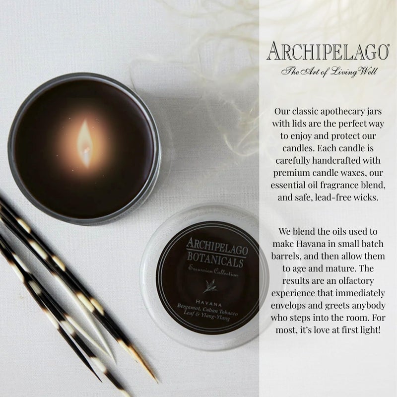 Archipelago Botanicals شمعة زجاجية من أرخبيل بوتانيكالز هافانا، برغموت، زهرة التبغ ورائحة يلانغ يلانغ، فتائل شموع خالية من الرصاص، تحترق لمدة تقارب 60 ساعة (8.6 أونصة) - Image 5