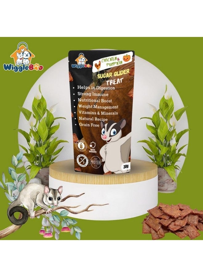 WiggleBoo Chicken & Pumpkin Sugar Glider Treat | Travel Pack | Protein Rich | Natural Detoxifier | Crunchy Food Snack | 30g - Image 3