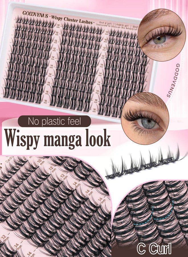 Goddvenus Manga Lash Clusters Kit Natural Wispy Cluster Eyelash Extensions Kit 180 Pcs Fairy C Curl Cluster Lashes 10-16mm Fluffy Lash Extensions Kit Anime Cosplay No Plastic Feel Individual Lash - Image 3