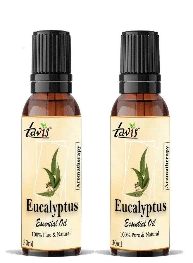 Tavis Eucalyptus Oil - 60ml - Image 2