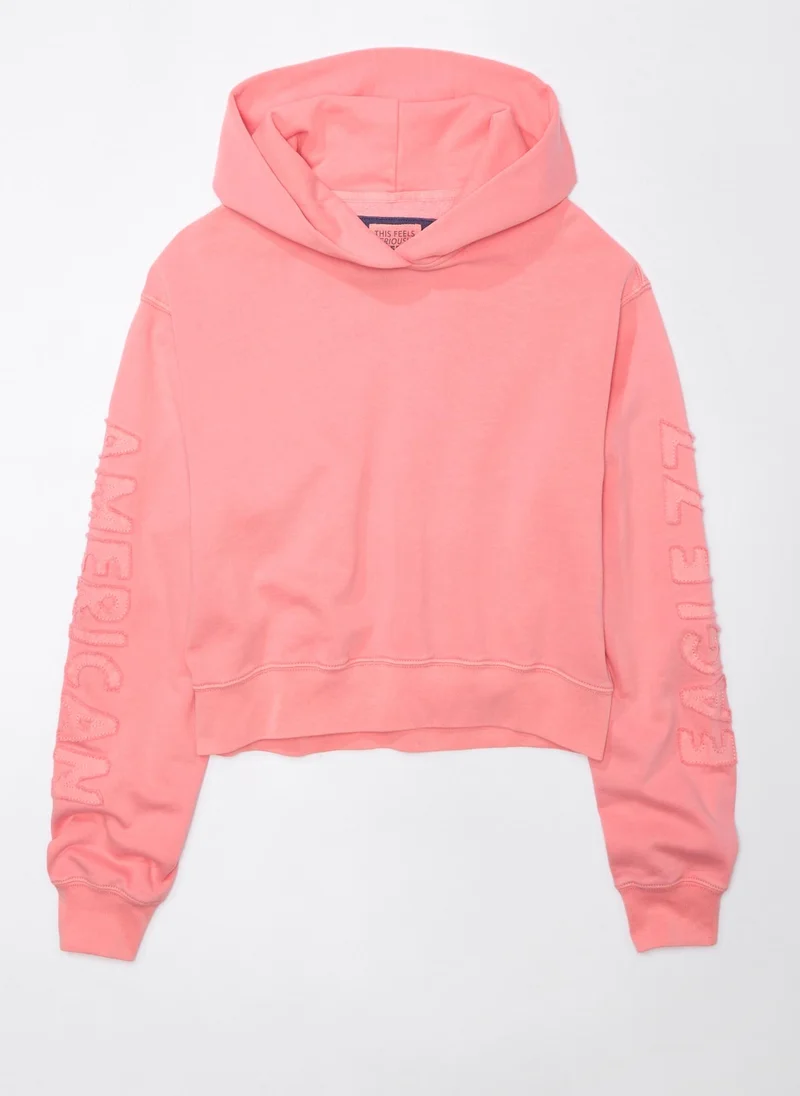 American Eagle Classic Graphic Pullover Hoodie
