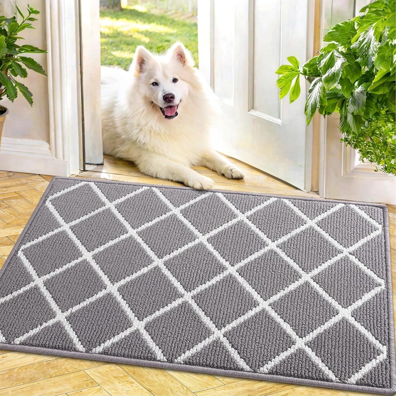 Finchitty Indoor Door Mat, Dirt Resistant and Absorbent, Low-Profile, Non-Slip, Washable Inside Floor Mats for Front Door, Back, and Entrance, 30" x 17", Grey - Image 1