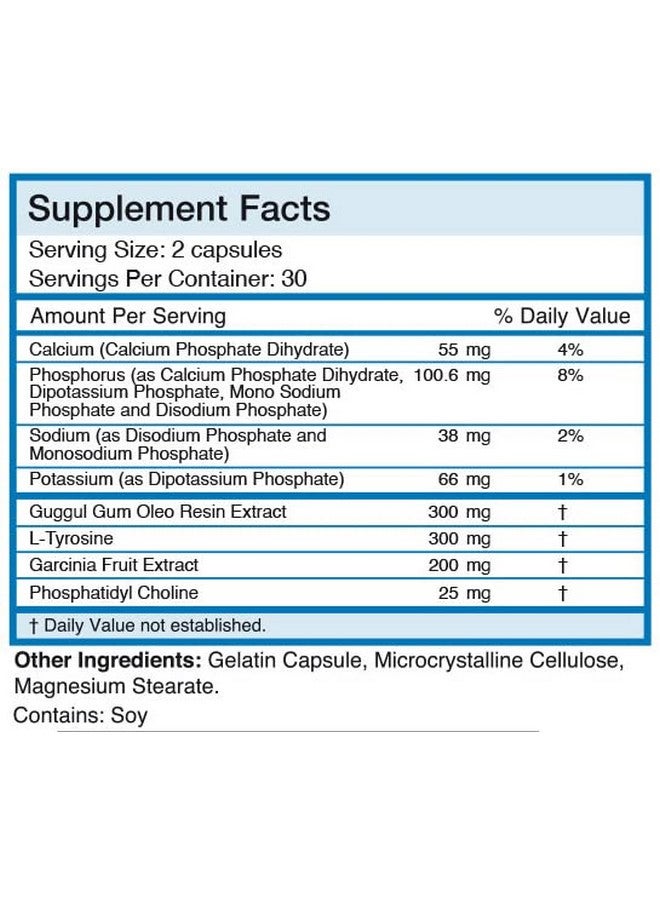 Absolute Nutrition دعم التمثيل الغذائي الراديكالي للغدة الدرقية من أبسولوت نيوترشن T3 للنساء والرجال، الطاقة والتركيز، وظيفة الغدة الدرقية الصحية، تركيبة طبيعية، غير معدلة وراثيًا، بدون كافيين، عبوة 2 تحتوي على 60 حصة، 120 كبسولة - Image 3