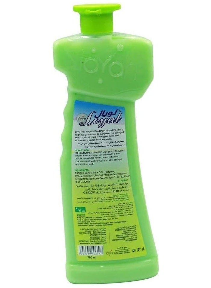 LOYAL Concentrated Household Deodorizer,floor cleaning,Spring Flowers,Green Color - Image 2