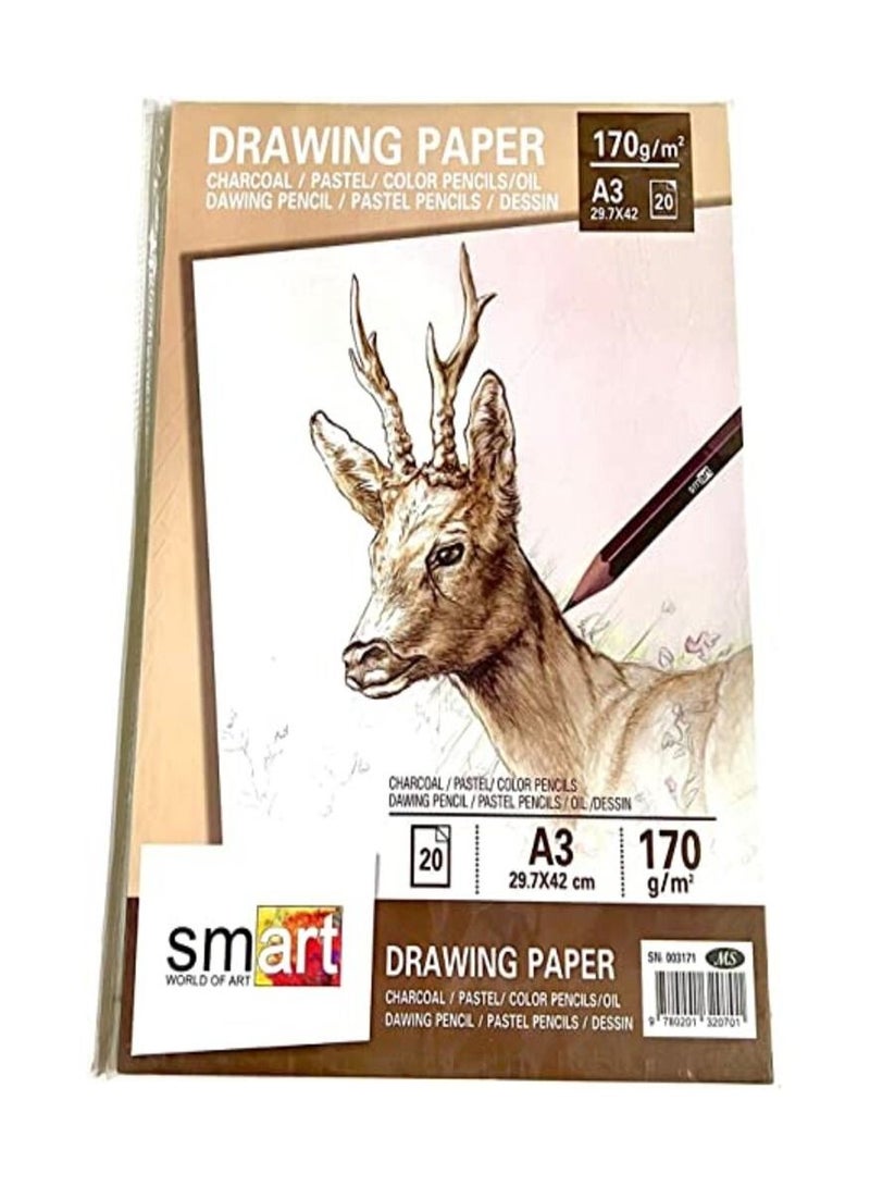 سمارت اسكتش رسم سمارت 170 جرام - 20 ورقة - مقاس A3