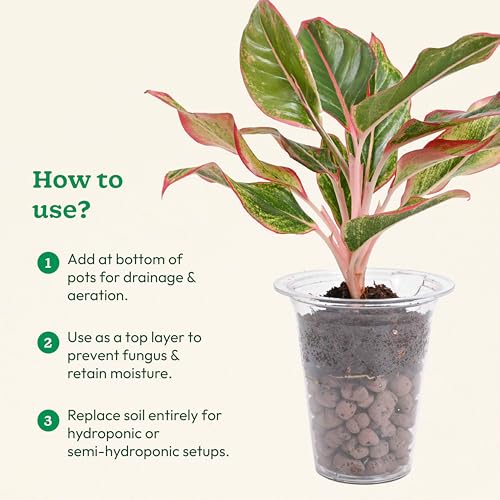 Ugaoo LECA Balls for Plants 1.8 kgs/ 6 Liter- Clay Balls for Plants, Hydroponics and Soilless Gardening-Improves Plant Growth, Aeration, and Drainage (Size: 8-15 mm) - Image 5