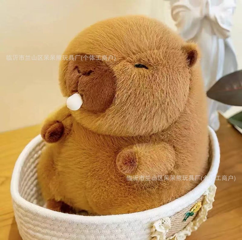 Cute 8-Inch Plush Capybara Toy – Soft Stuffed Animal for Claw Machines, Wedding Throws, and  Gifts