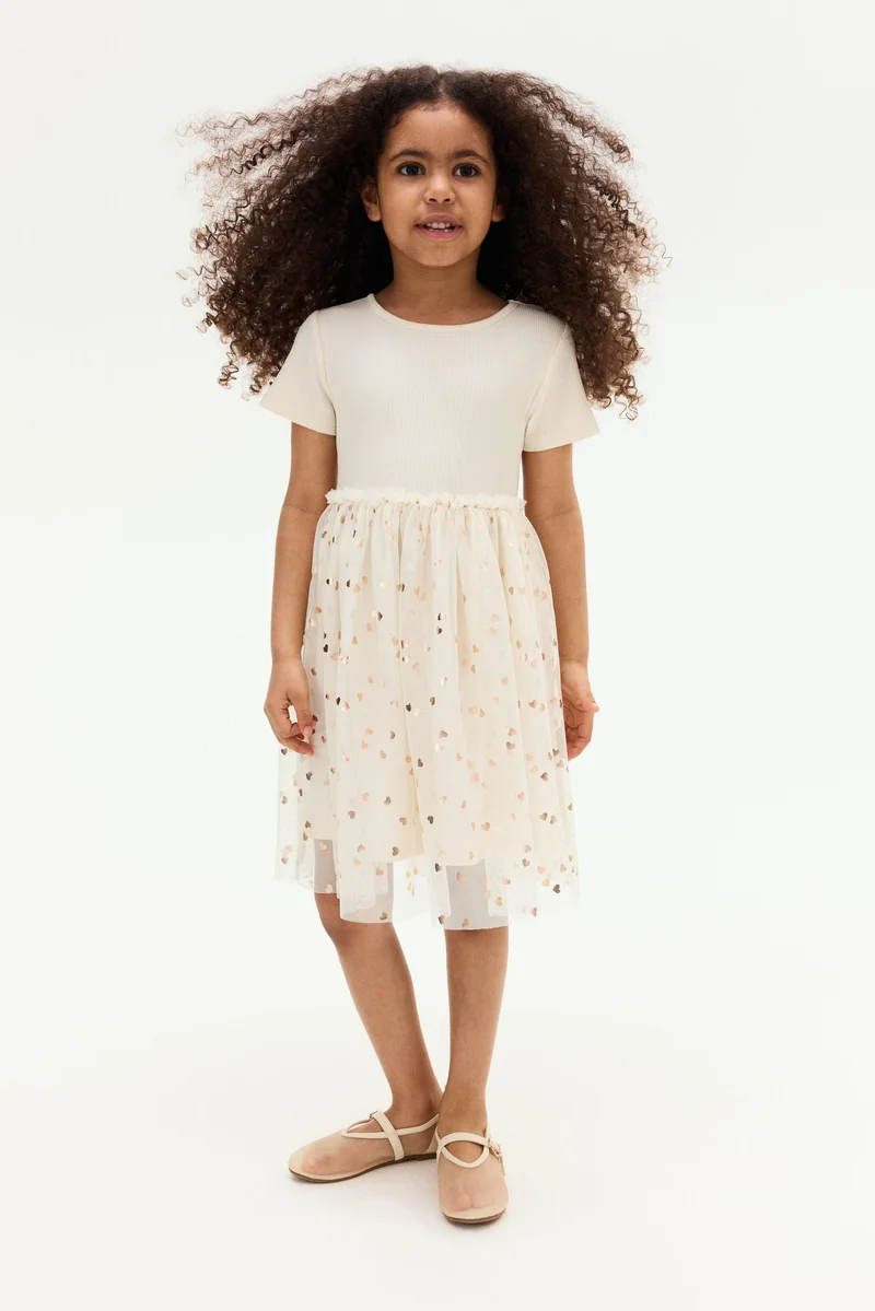 H&M Tulle skirt dress