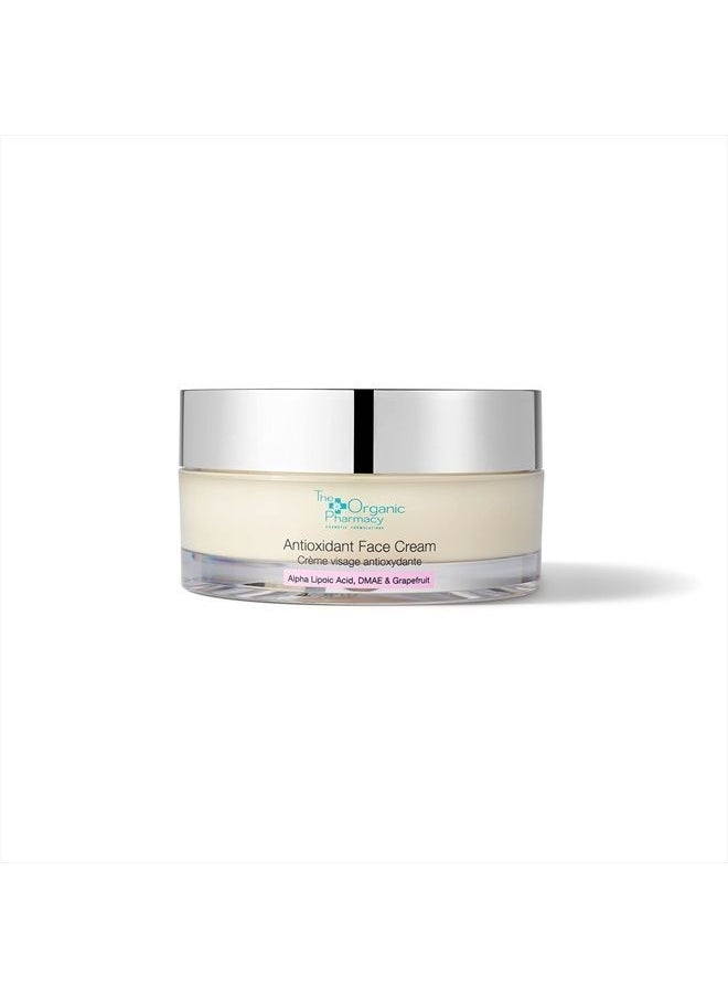 Antioxidant Face Cream, 1.7 Ounce - pzsku/ZE702A41EA27DA46B461FZ/45/_/1681578218/3284c0b2-fcd4-4c2c-a5a0-8703789bbc80