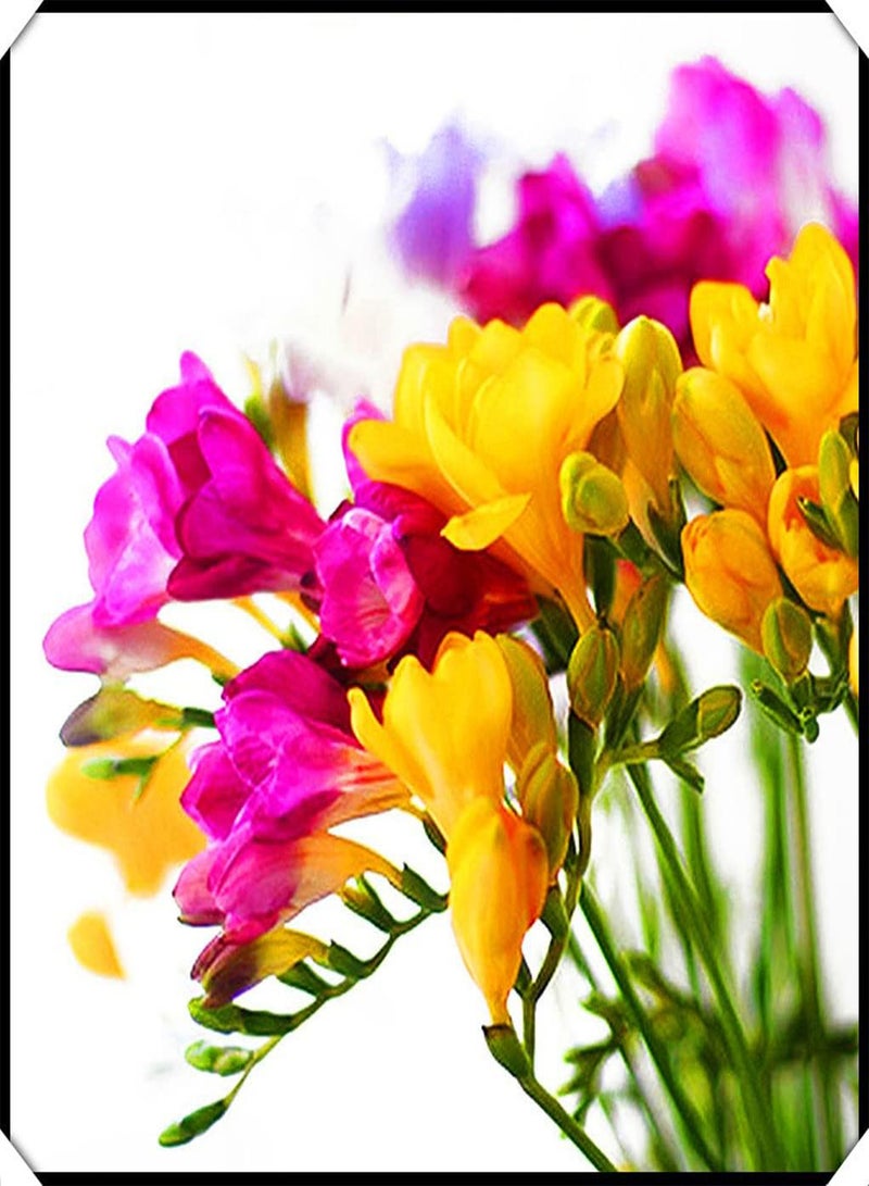 جي جوت زراعة بسيطة وبستنة، بذور زهور الفريزيا المختلطة، زراعة داخلية وخارجية، أزهار عطرية - 5 بذور - Image 3