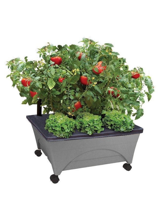 Emsco Group City Picker Raised Bed Grow Box – Self Watering and Improved Aeration – Mobile Unit with Casters - Slate - Image 1